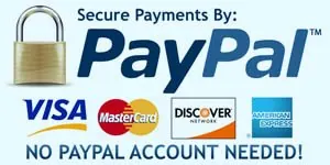 PayPal payment options